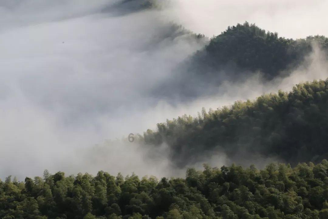 世界面积最大的岛屿是游戏画面